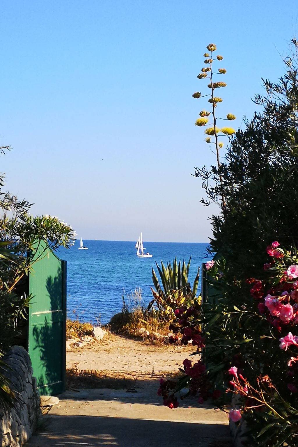 Foto 3 von 40: Villa Matilde: Kleine Ferienwohnung mit Meerblick