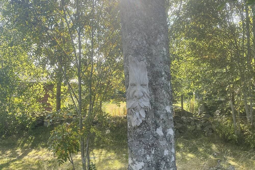 Foto 11 von 19: Neurenovierte sommarstuga i Småland