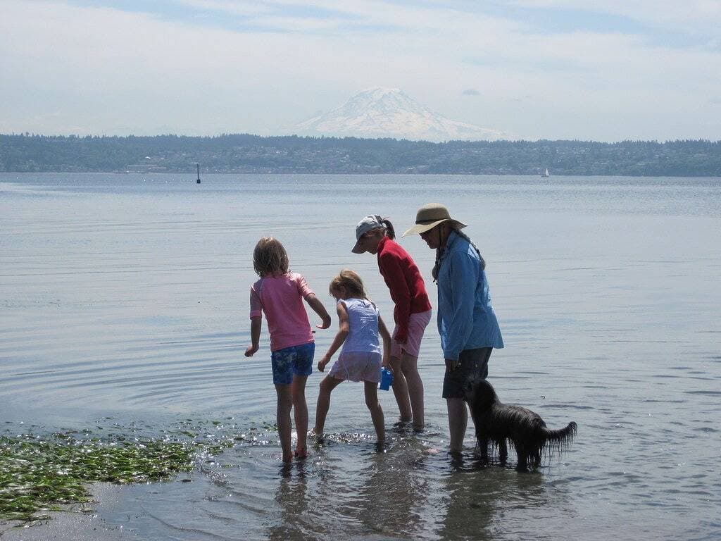 Foto 10 von 50: Bluff House, Vashon Island
