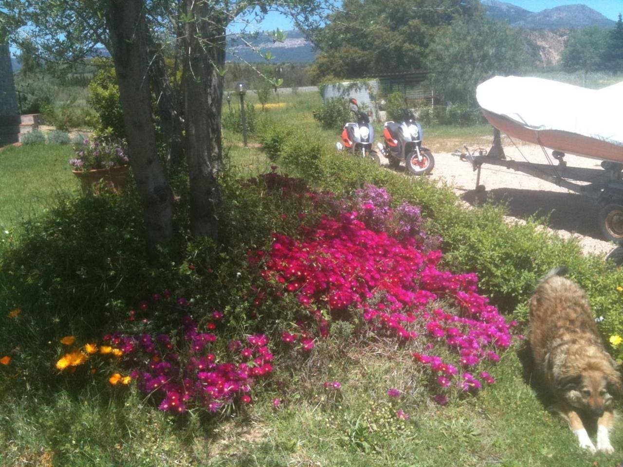 Foto 8 von 72: Holiday Home
