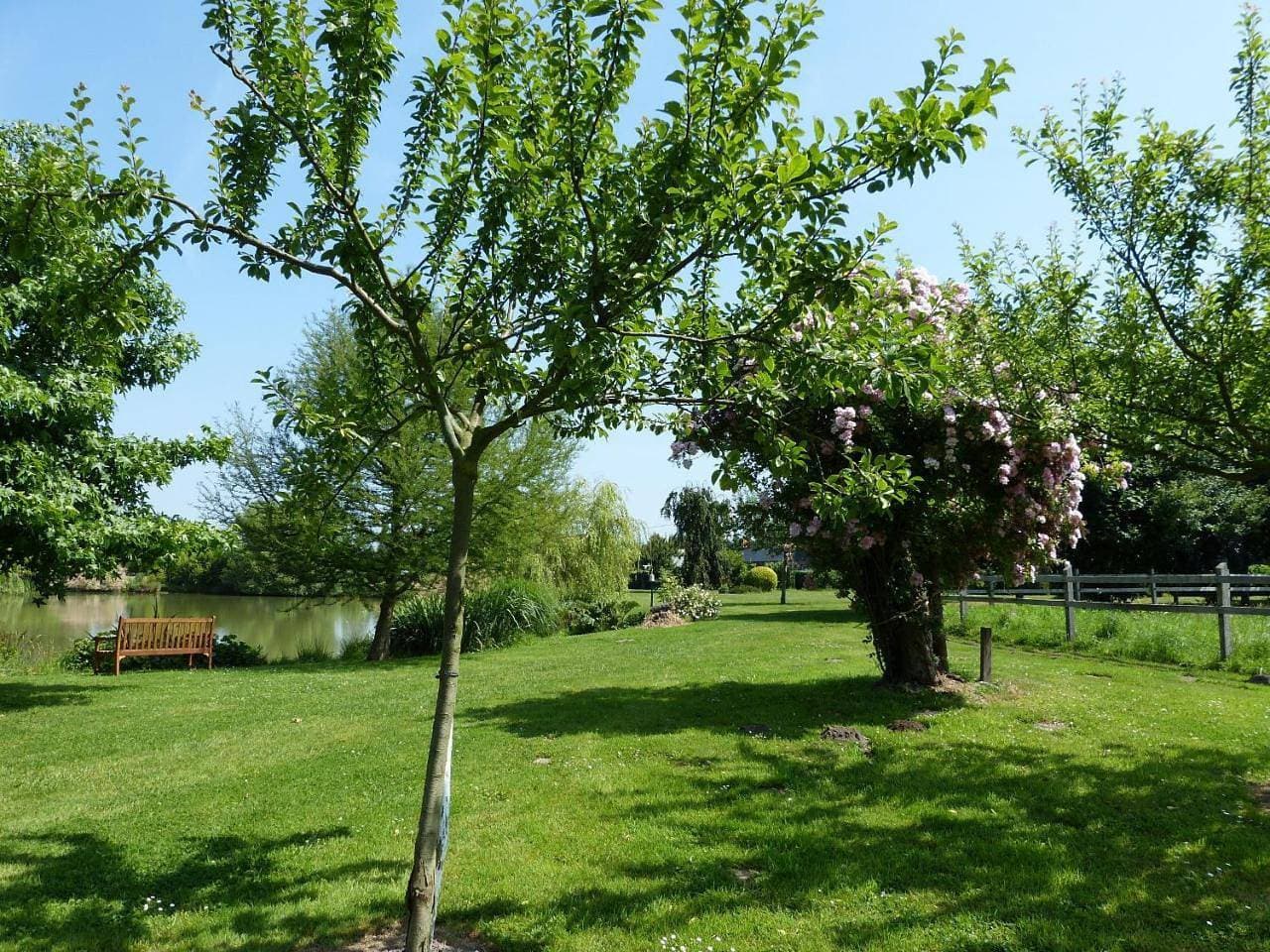 Foto 7 von 33: Holiday Home