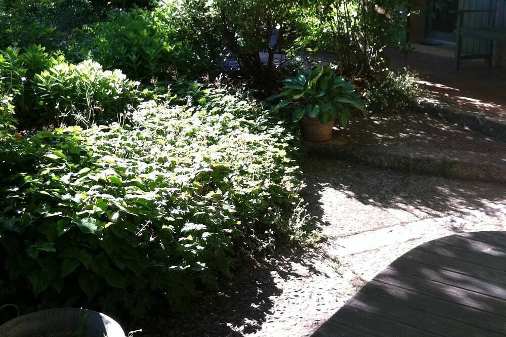 Foto 12 von 30: Kleines Paradies für drinnen und draußen