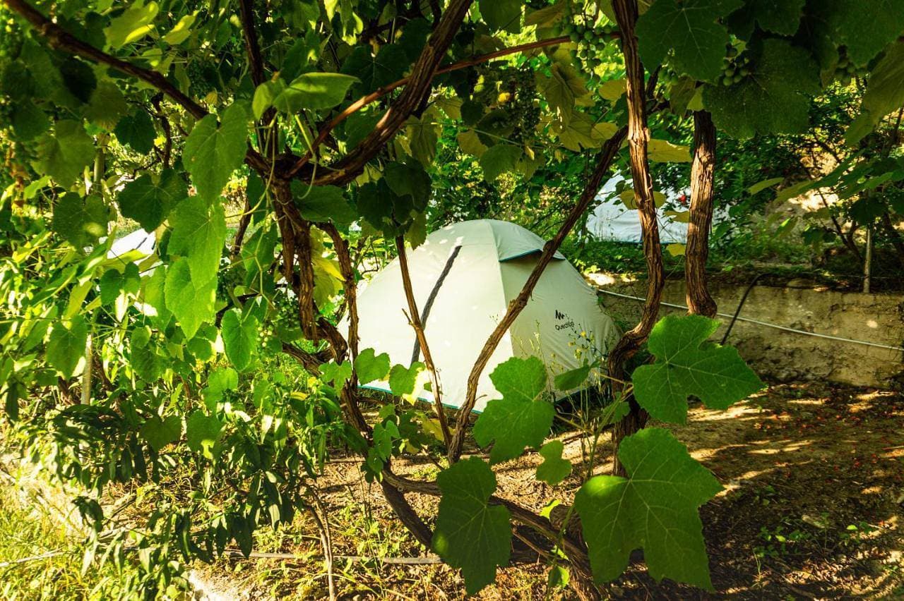Foto 6 von 16: Tent