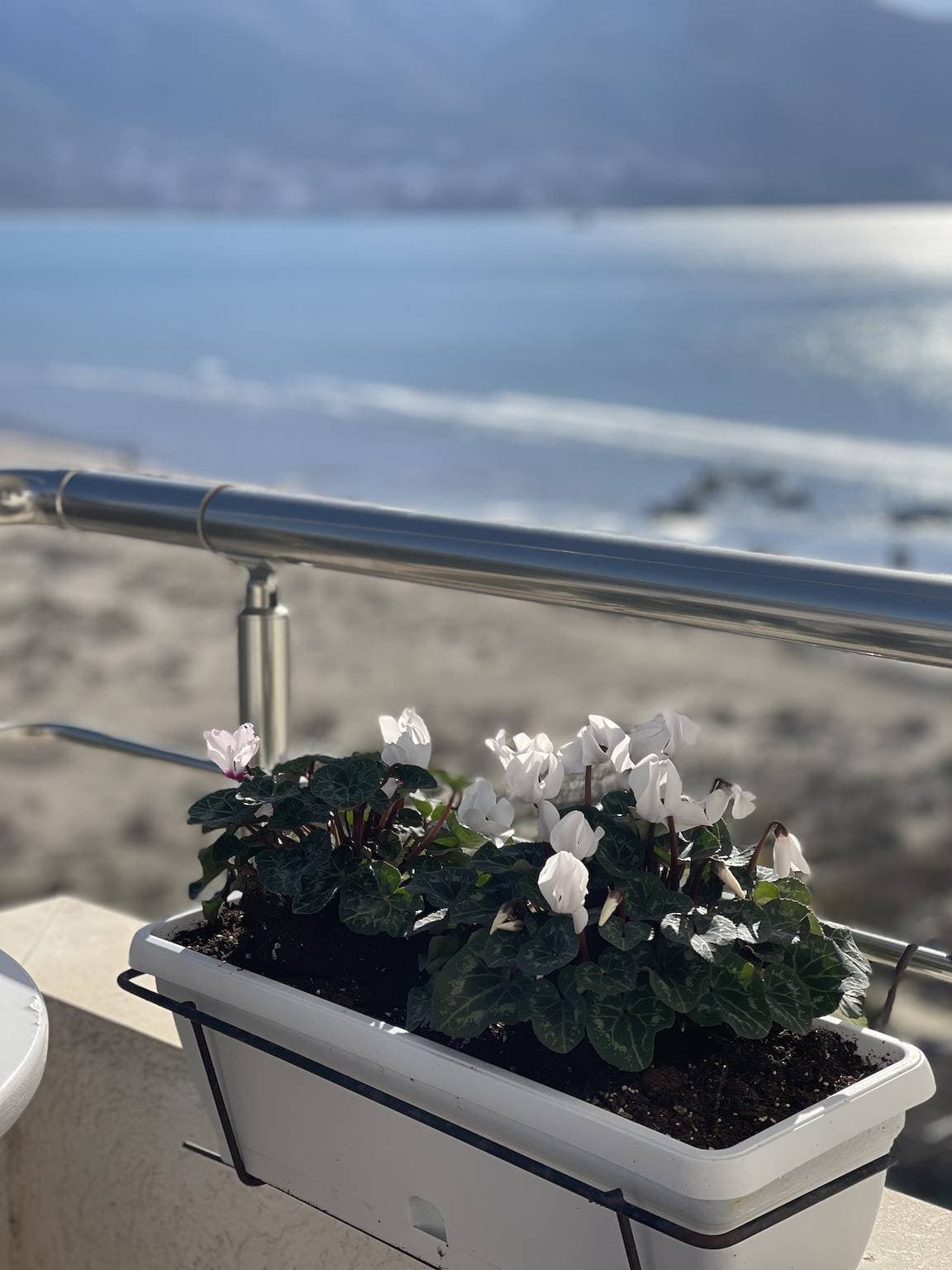 Foto 2 von 15: Meerblick-Apartment Vlore