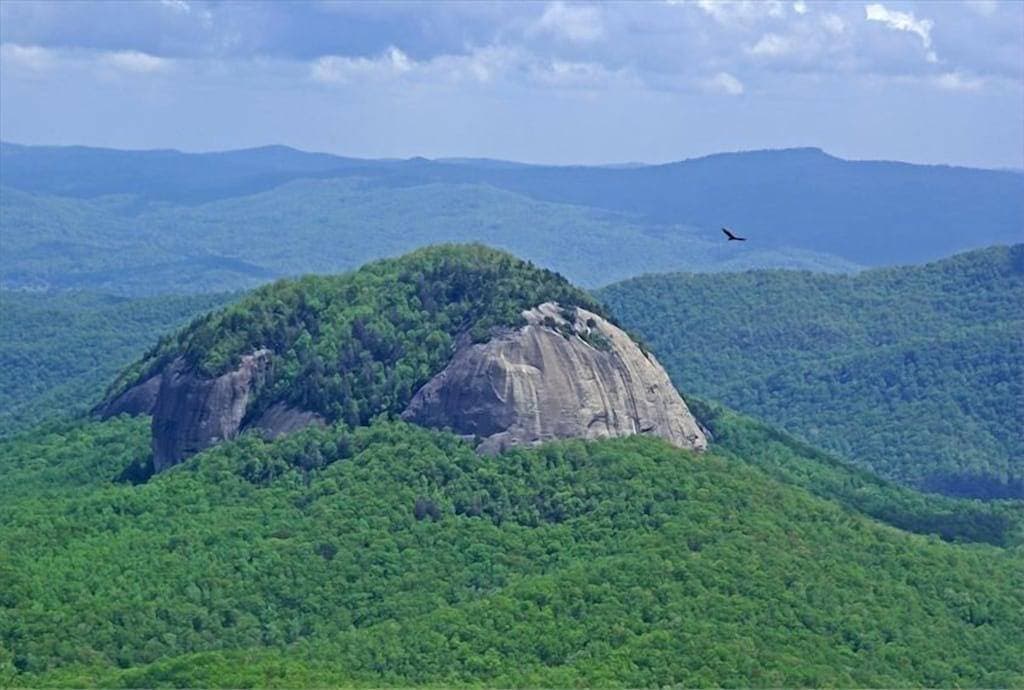 Foto 8 von 42: Gemütliche Berghütte 13 Hektar in der Nähe von Dupont State Forest Wifi