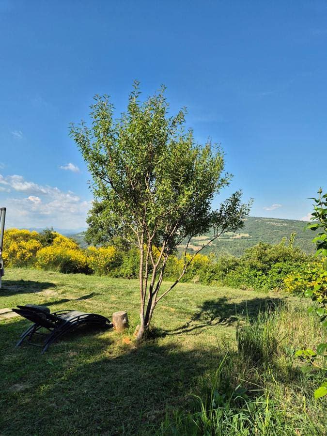 Foto 4 von 30: Family Chalet