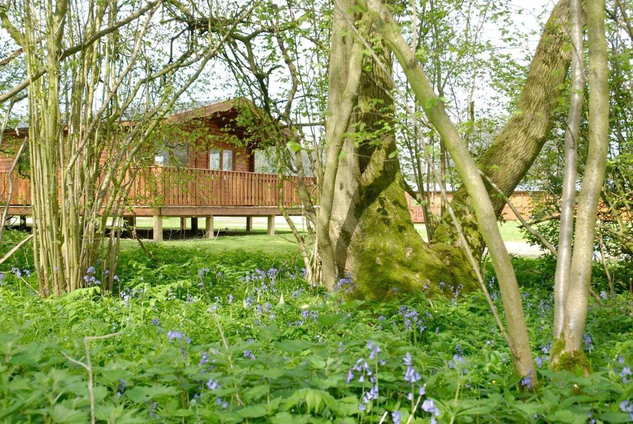 Foto 3 von 5: Three Bedroom Lodge with Hot Tub