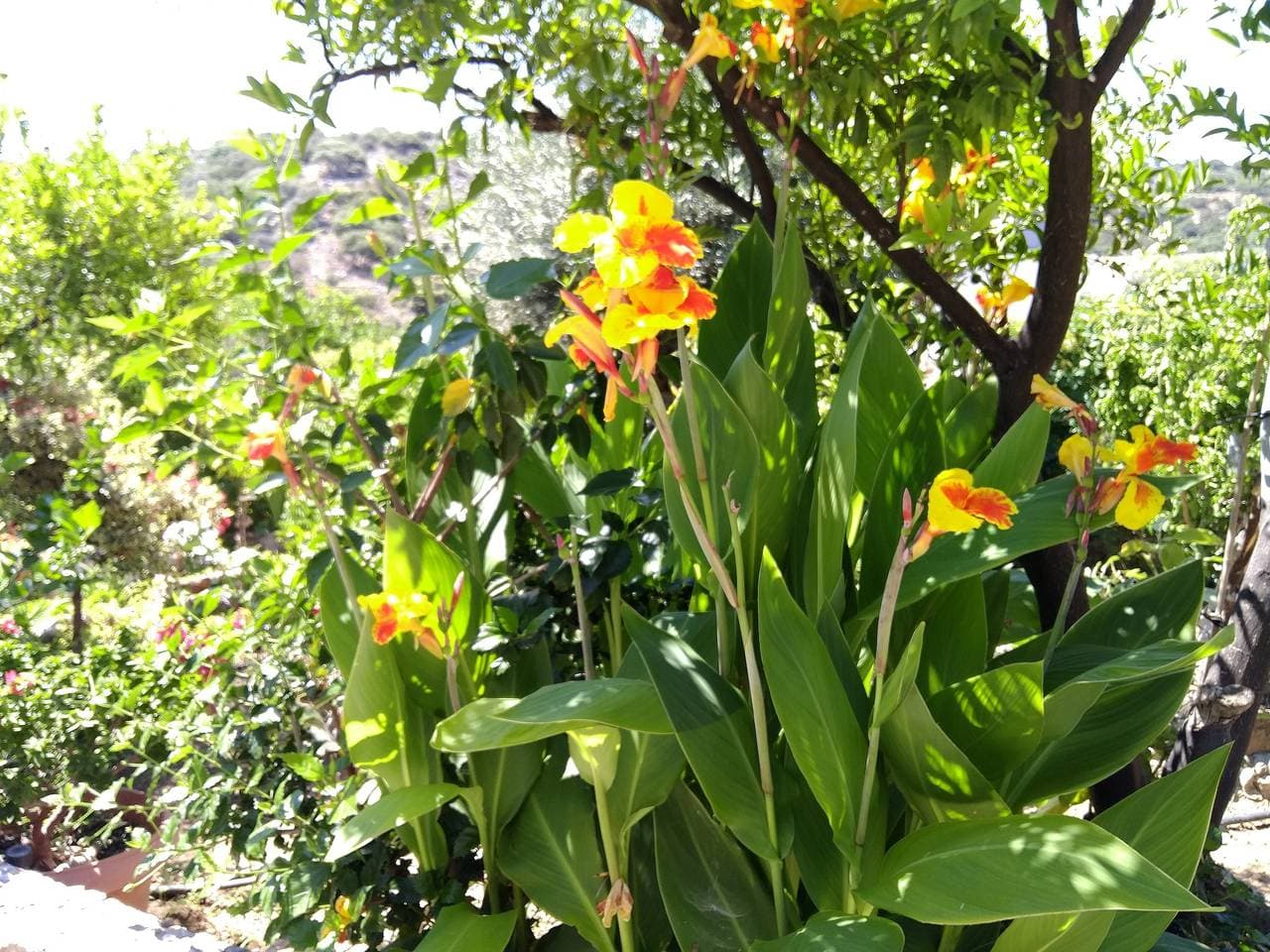 Foto 6 von 55: Gemütliche Luxusvilla mit Garten nahe dem Meer