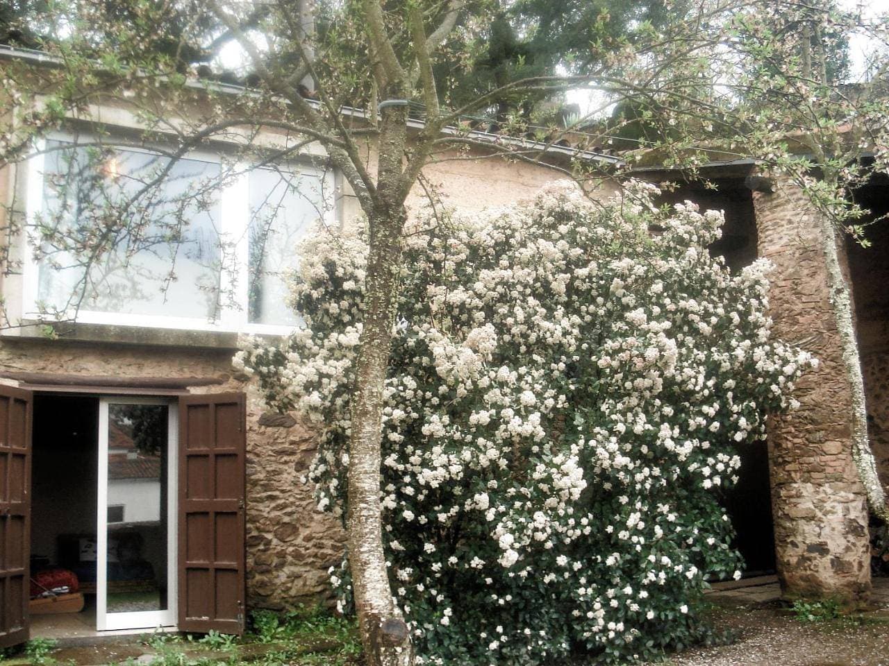 Foto 10 von 96: Two-Bedroom House
