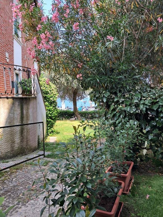 Foto 2 von 31: Studio with Garden View