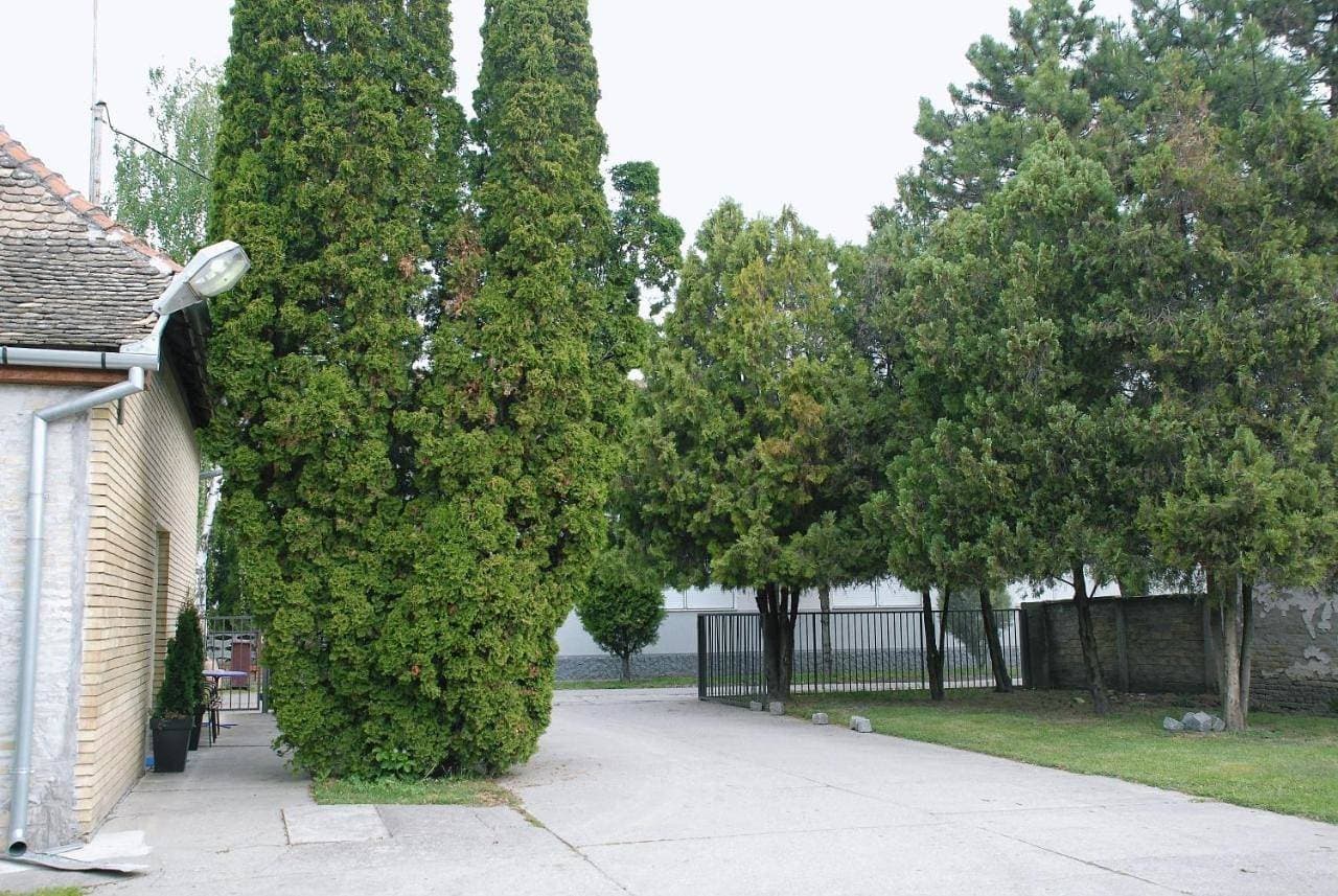Bezdan Guesthouse 1