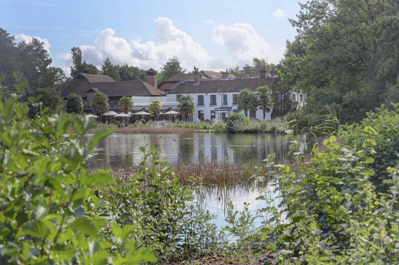Frensham Pond Country House Hotel & Spa 1
