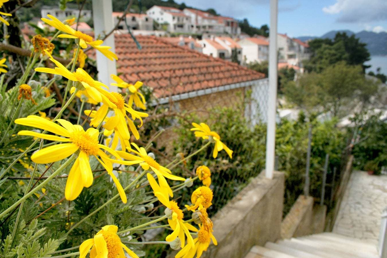 Foto 12 von 37: 1-Zimmer-Ferienwohnung mit Terrasse und Meerblick Medvinjak, Korcula A-4439-a