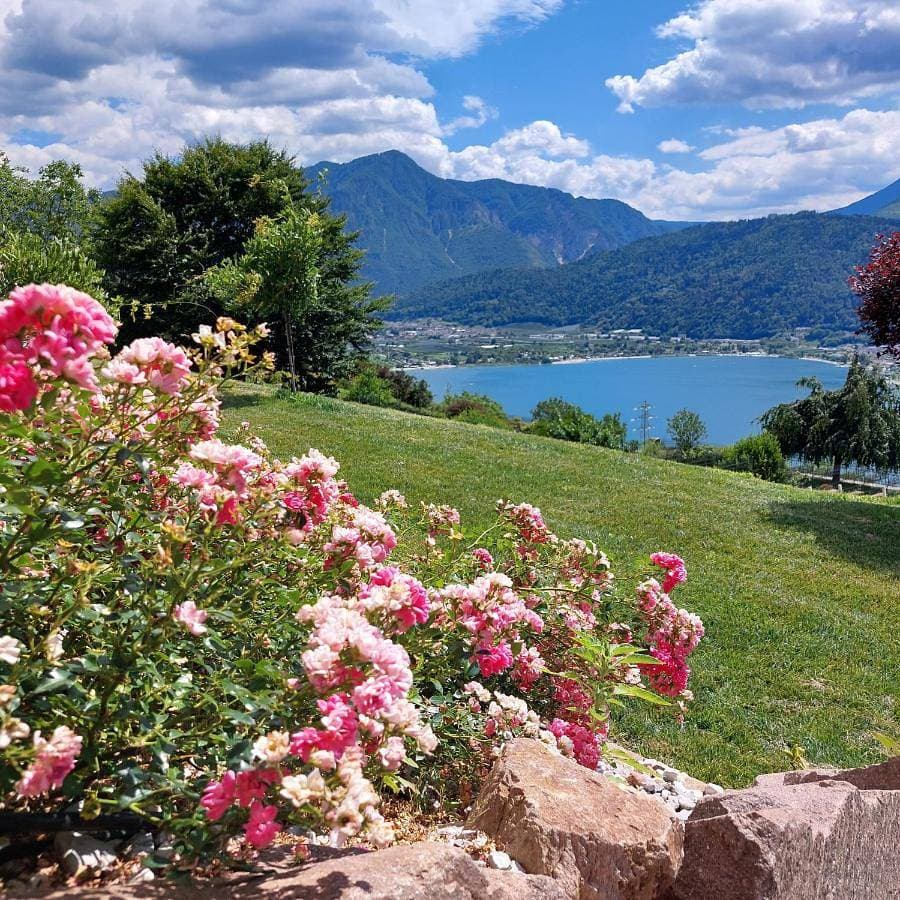 AGRITUR SEDICI - Bed and Breakfast 1