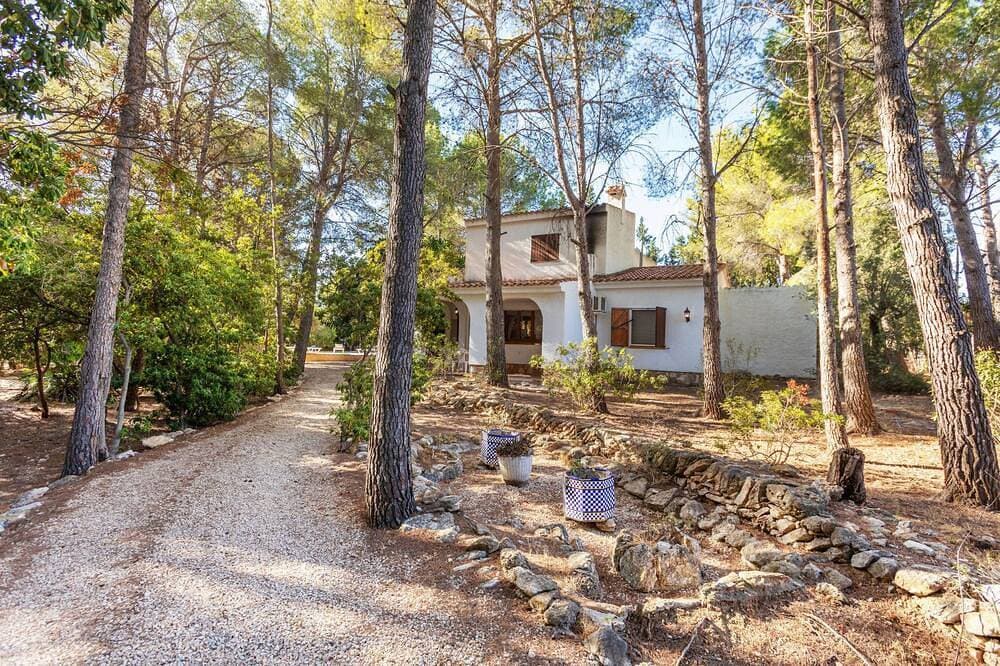 Foto 7 von 27: Villa Pinos