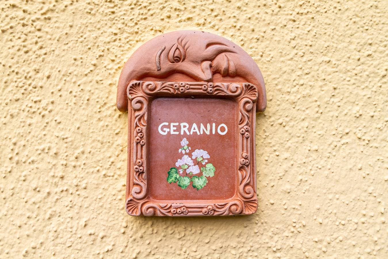 Foto 13 von 18: Ferienwohnung "Geranio - Agriturismo La Fattoria" mit Garten und WLAN