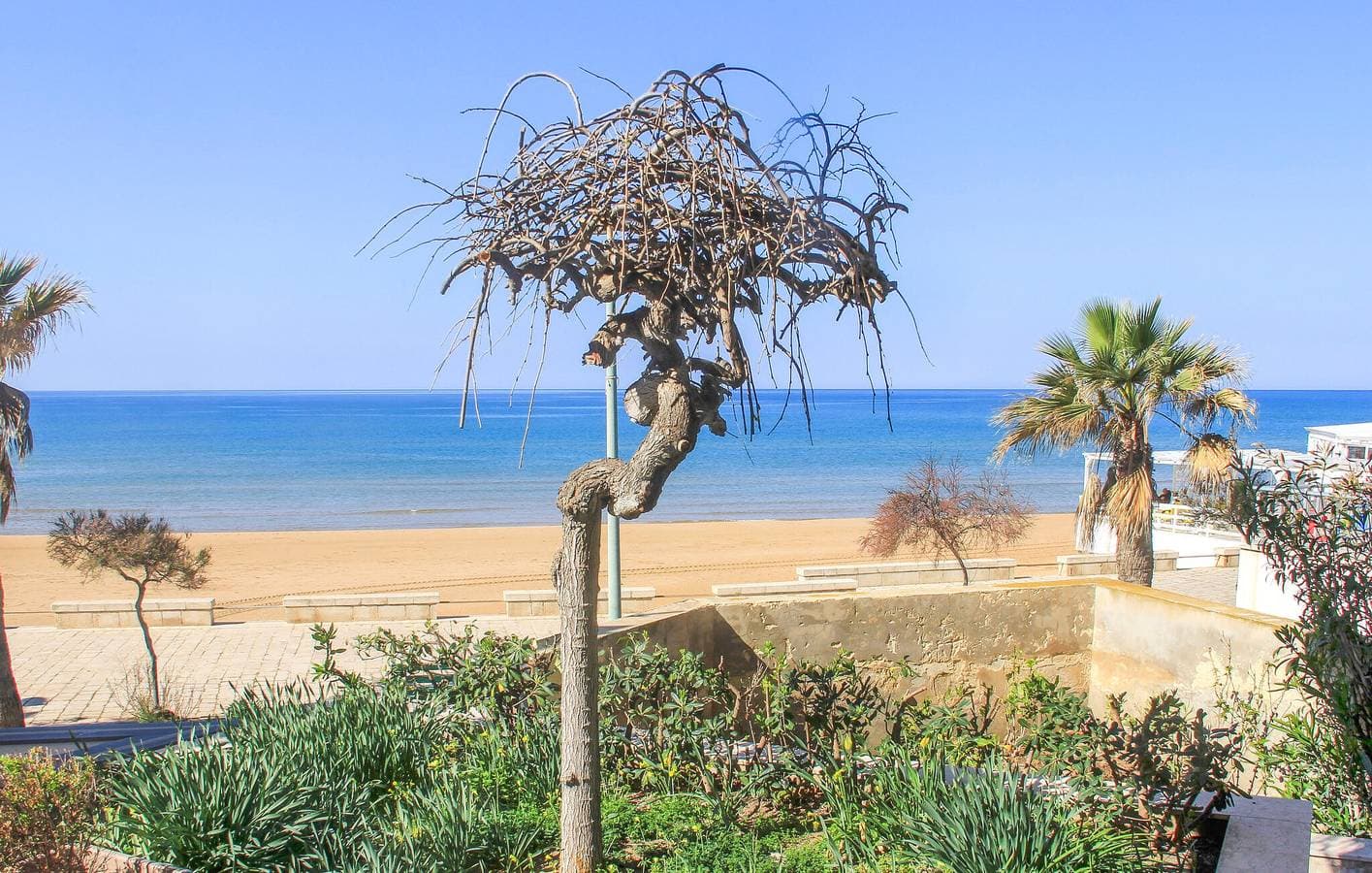 Foto 10 von 17: Apt mit Meerblick - 100m zum Cava D'Aliga Strand