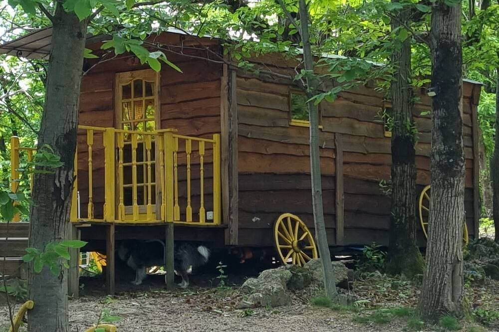 Foto 4 von 12: Zurück zu den Grundlagen: Der Narzissen-Trailer in der Nähe der Wanderwege
