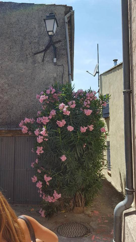 Foto 6 von 24: Holiday Home