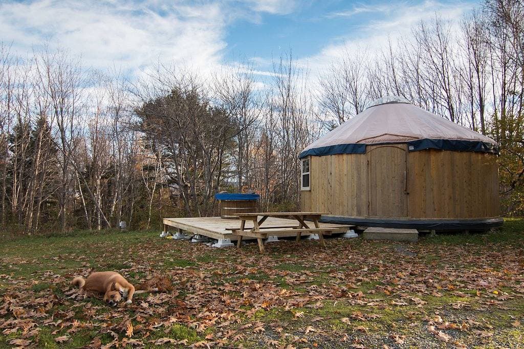 Foto 3 von 6: Cedar Yurt im Cabot Shores Wilderness Resort