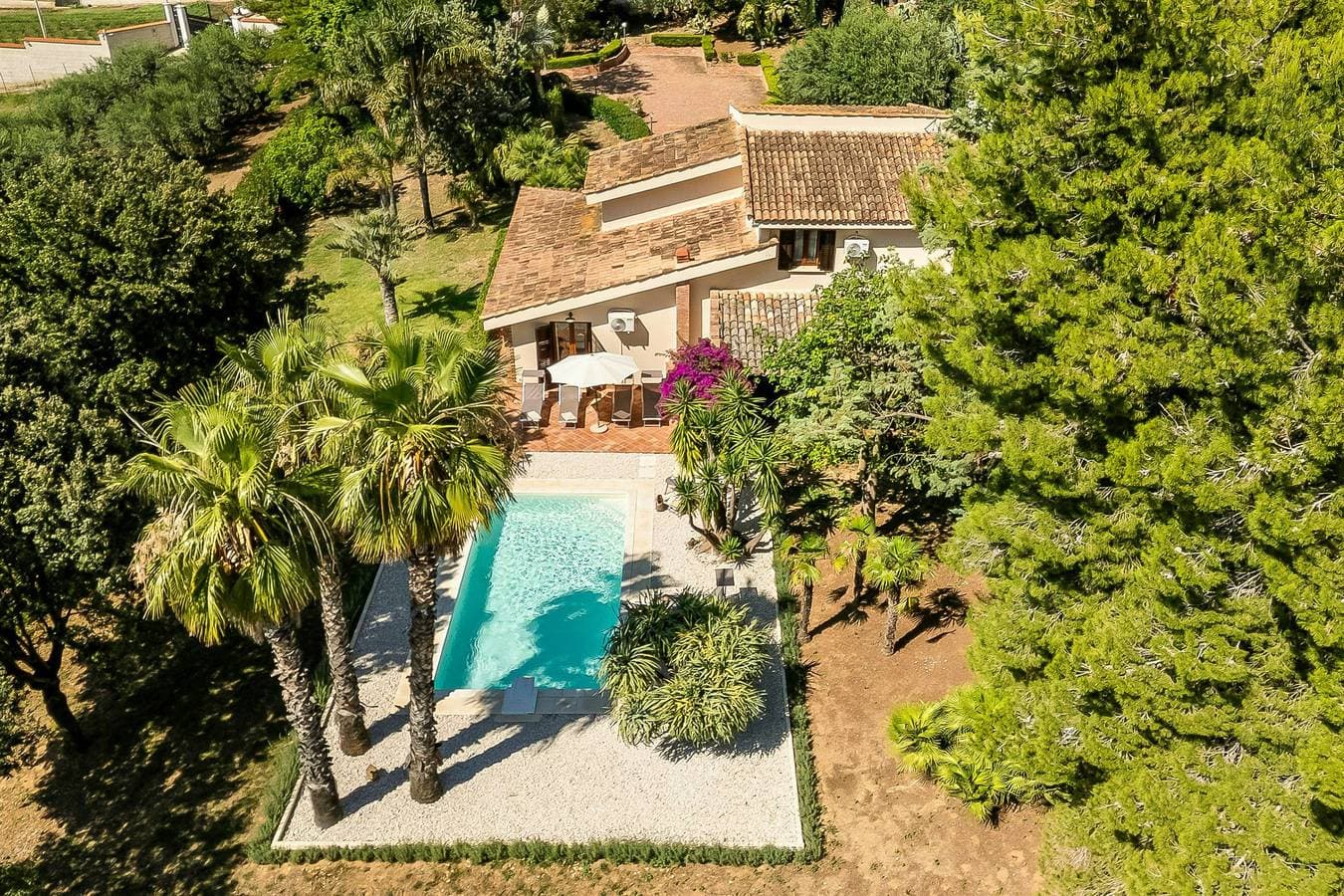 Foto 3 von 32: Villa zwischen Olivenbäumen am Golf von Castellammare