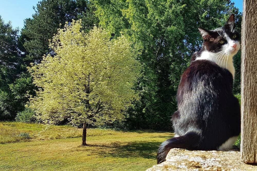 Foto 8 von 30: Aile Privée Dans Belle Demeure Pour 4 Personnes