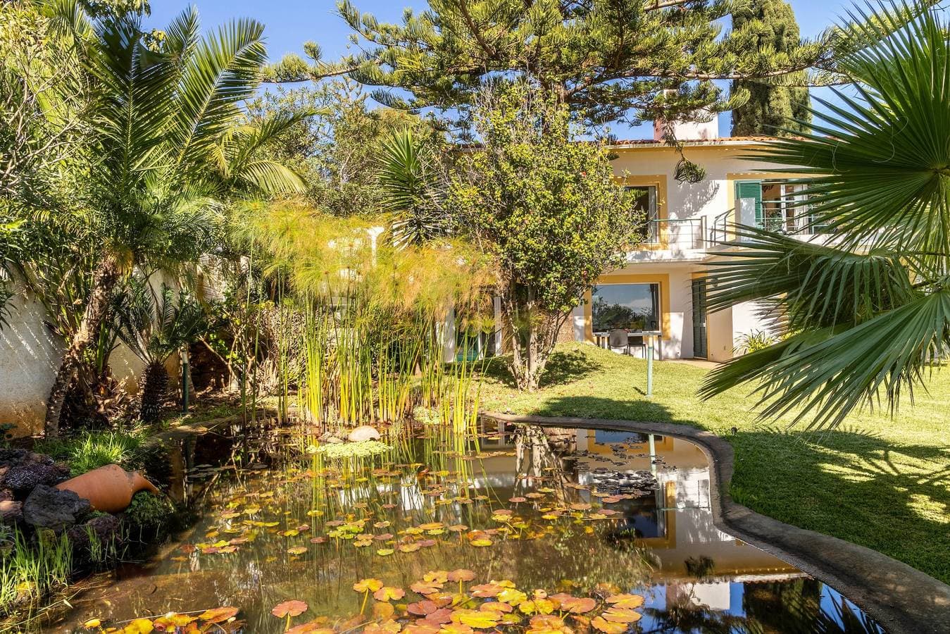 Foto 3 von 28: Ferienwohnung "Villa Echium T1" mit einem Schlafzimmer und Gemeinschaftsgarten