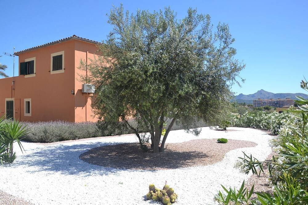 Foto 6 von 13: Villa für Tierliebhaber in Strandnähe