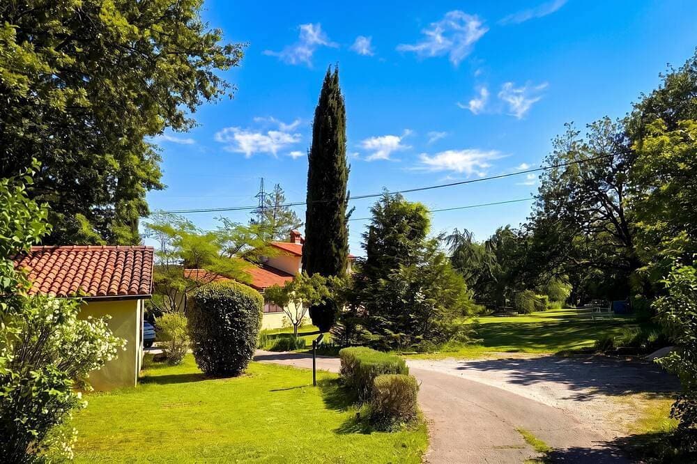 Foto 11 von 30: Marisa Olive Grove - App Aria, Labin, Croatia