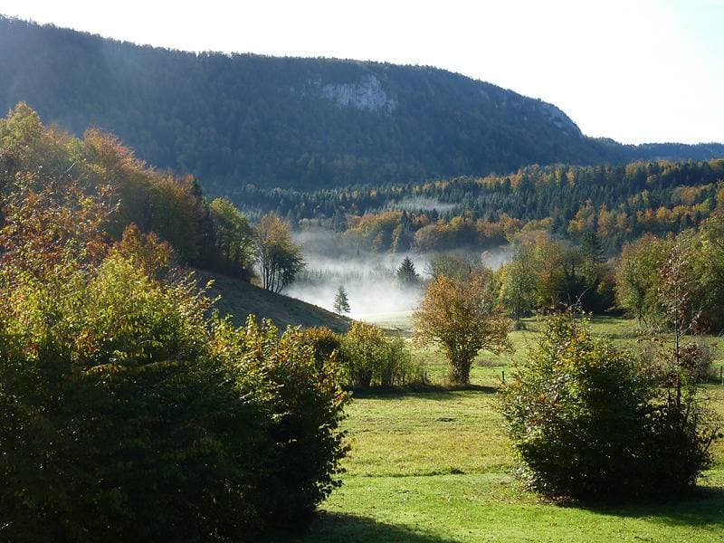 Foto 5 von 11: Maclu