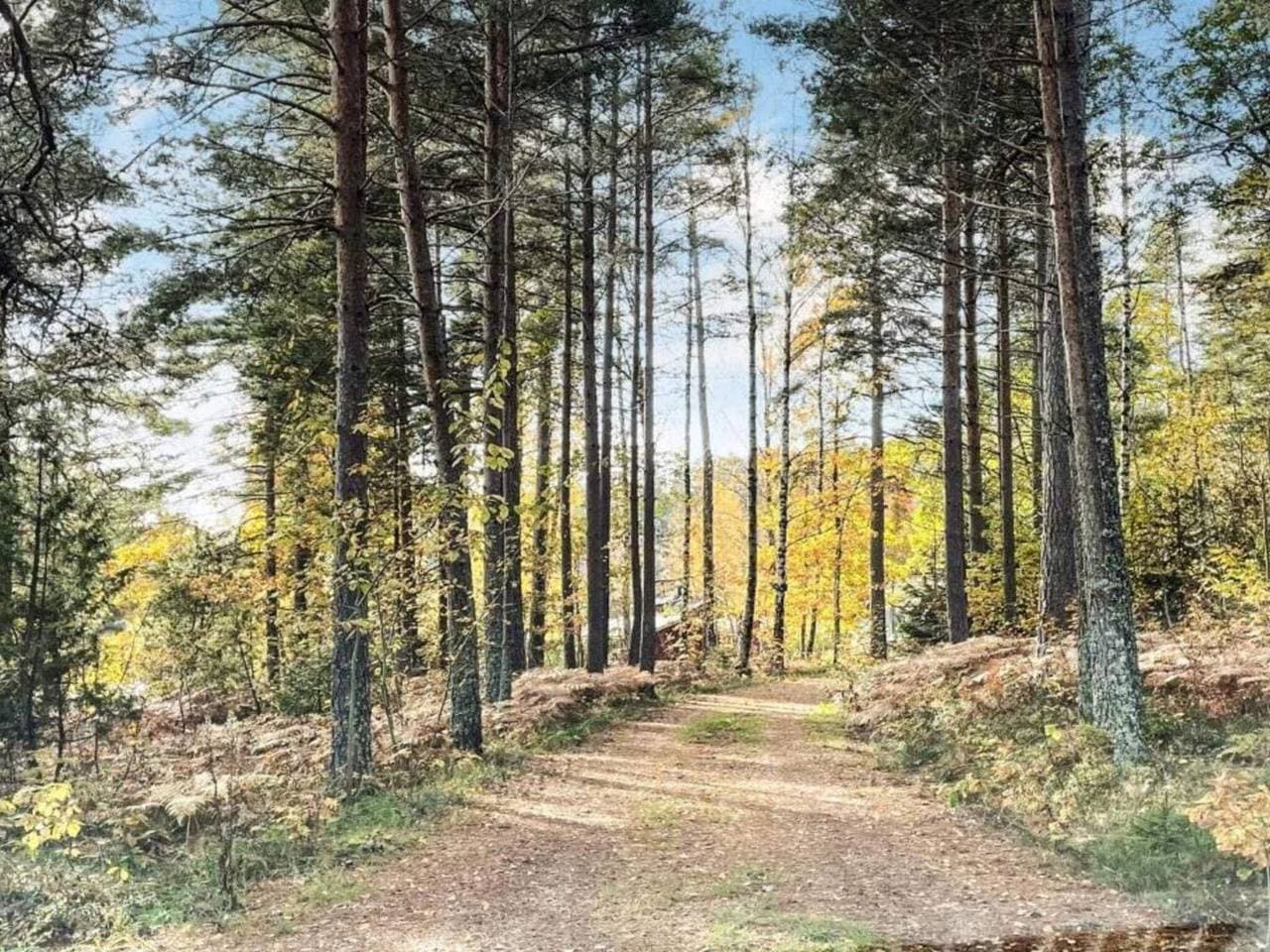Foto 6 von 42: 4 Personen Ferienhaus auf Ulfborg