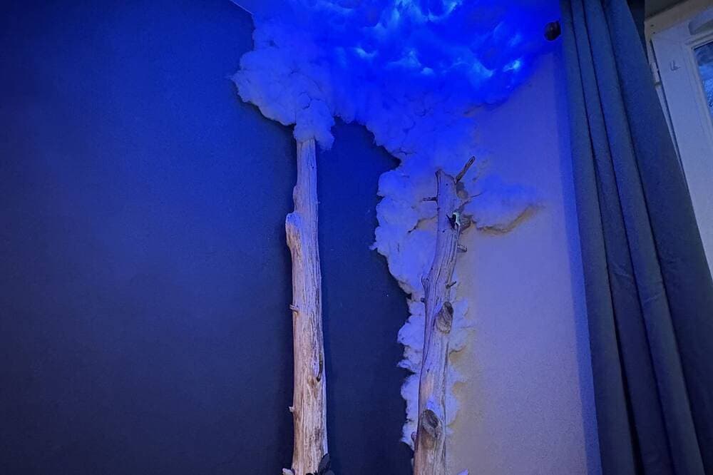 Foto 7 von 7: Studio Nature Avec vue sur le Château