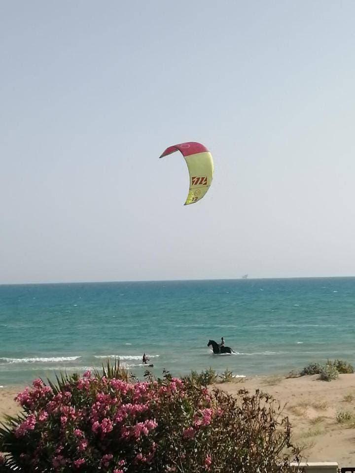 Foto 9 von 22: Holiday Home