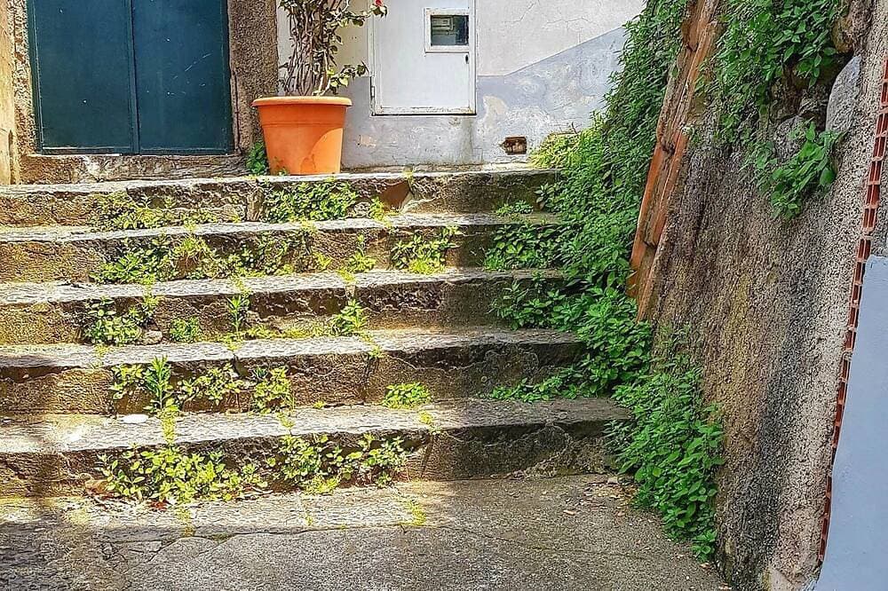 Foto 11 von 30: Limoneto di Lulù, Urlaub unter den Zitronen!