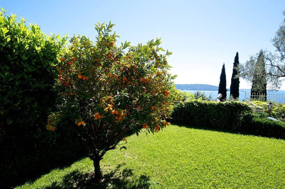 Foto 9 von 30: Residenz Limoni del Rustichel: FeWo N.8 mit Seeblick, Tiefgarage und Pool.