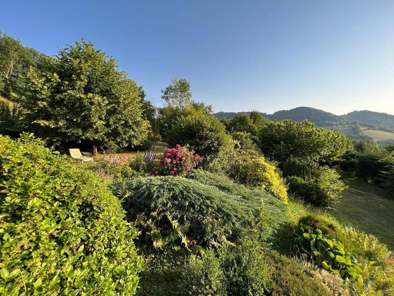 Foto 12 von 22: Suite with Mountain View