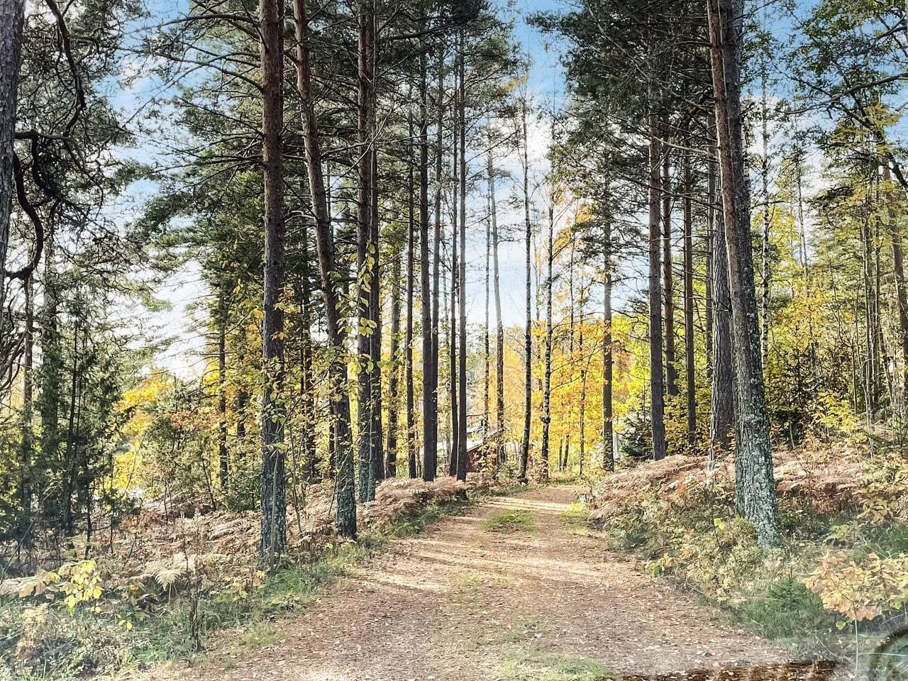 Foto 5 von 34: Friedliche Waldhütte in Dalsland
