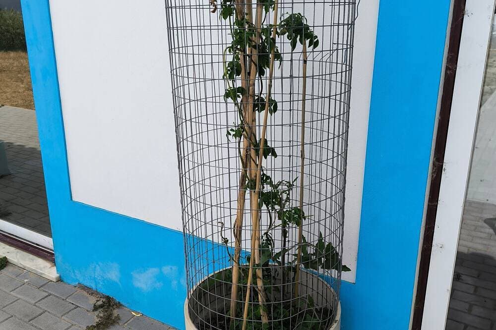Foto 12 von 24: Refúgio A Quinta – Zimmer 1
