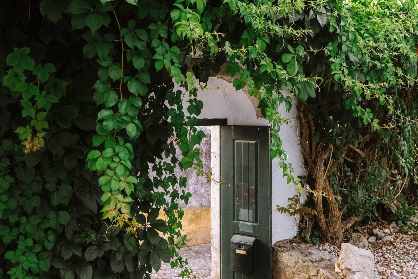 Foto 10 von 21: Cam - Colinas de Óbidos