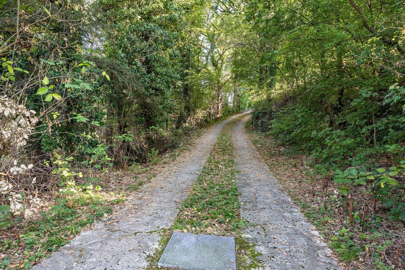 Foto 7 von 39: 'Villa Franca San Zeno' mit Seeblick, Garten und WLAN