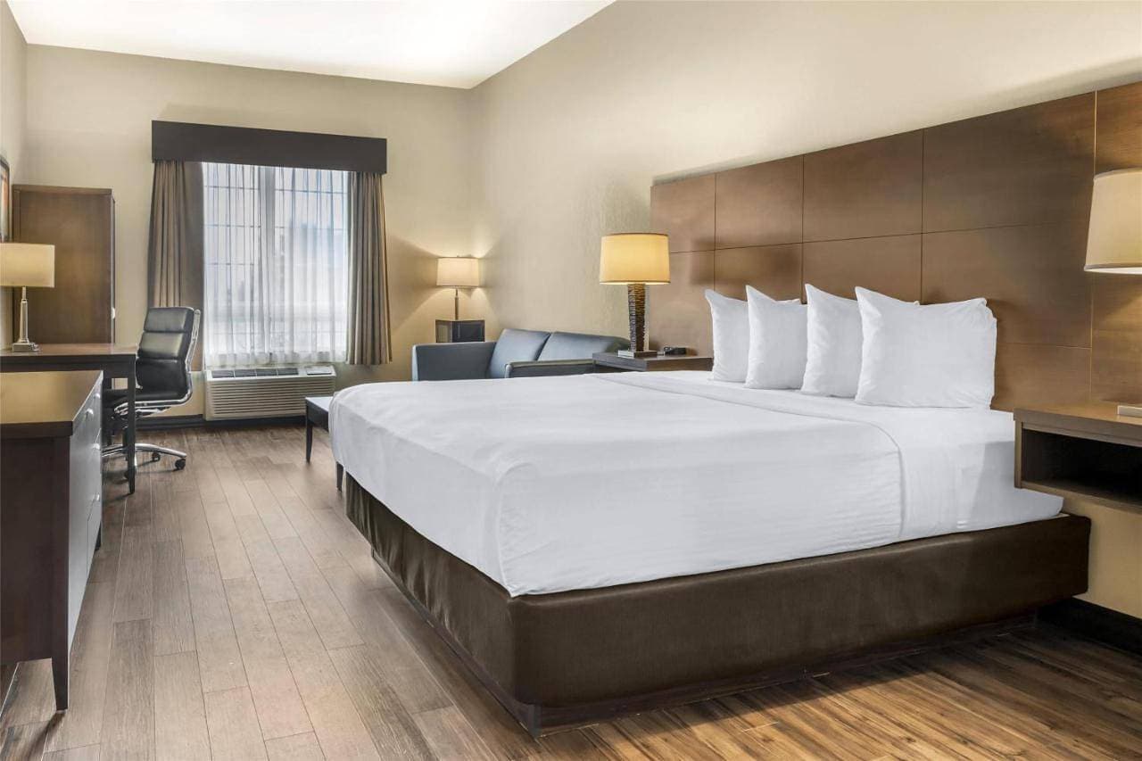 BEST WESTERN PLUS Saint John Hotel & Suites 1