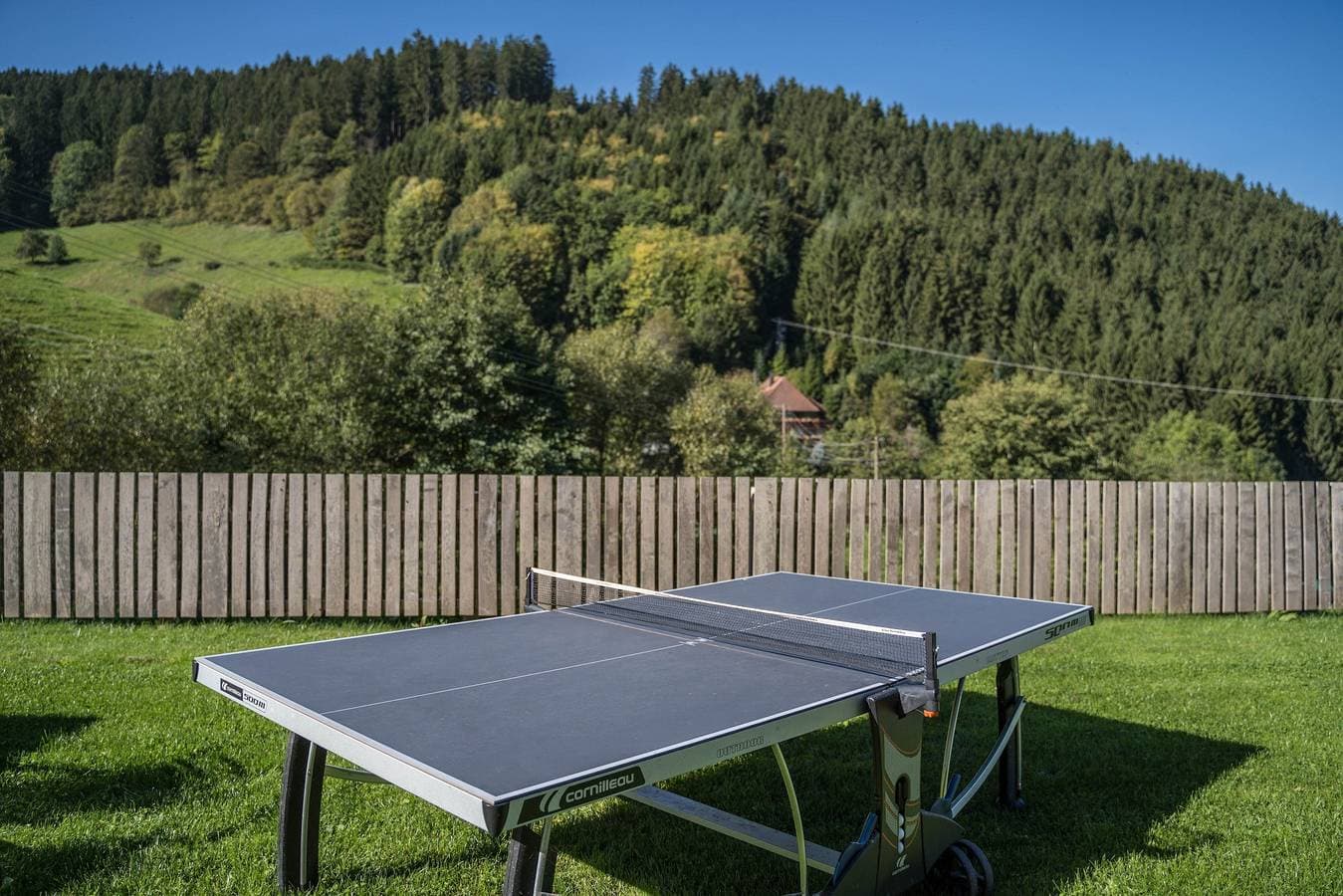 Foto 10 von 32: Jungbauernhof: Ferienwohnung "Hof" mit Bergblick, Balkon und Wlan