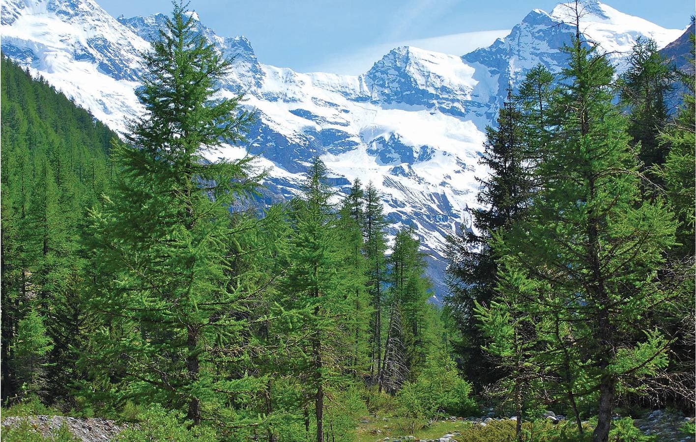 Foto 7 von 24: Wohnung mit Bergblick, Terrasse und Küche in Breuil-Cervinia