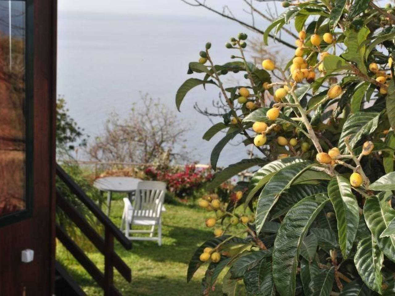 Foto 9 von 23: In Canhas mit Schönem Garten