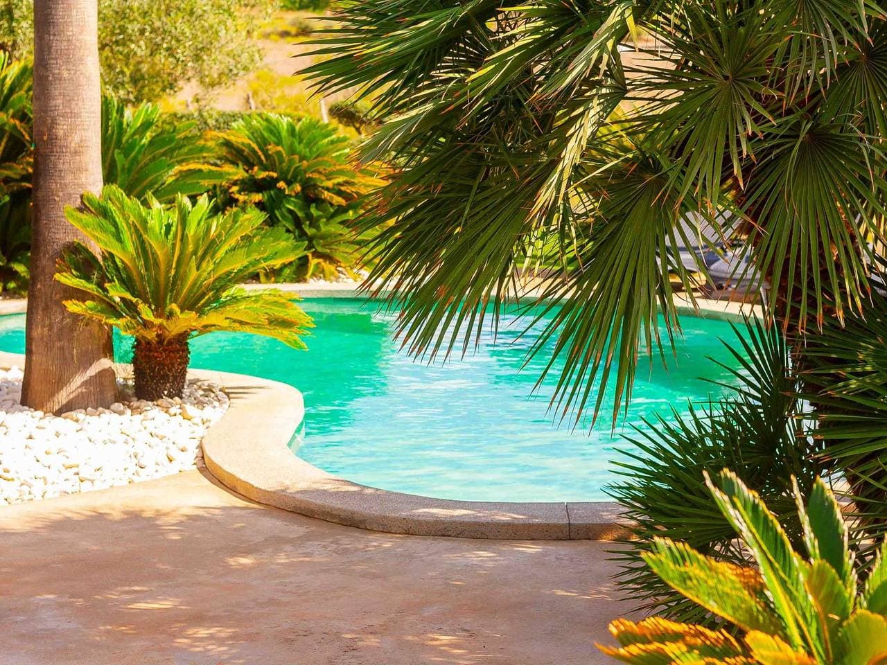 Foto 3 von 48: Schöne Villa mit Pool in Llubí, im Zentrum von Mallorca.