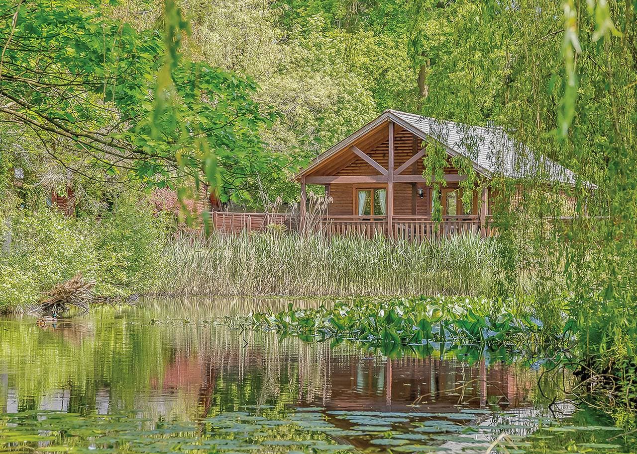 Foto 2 von 9: Falkner Watersedge Lodge