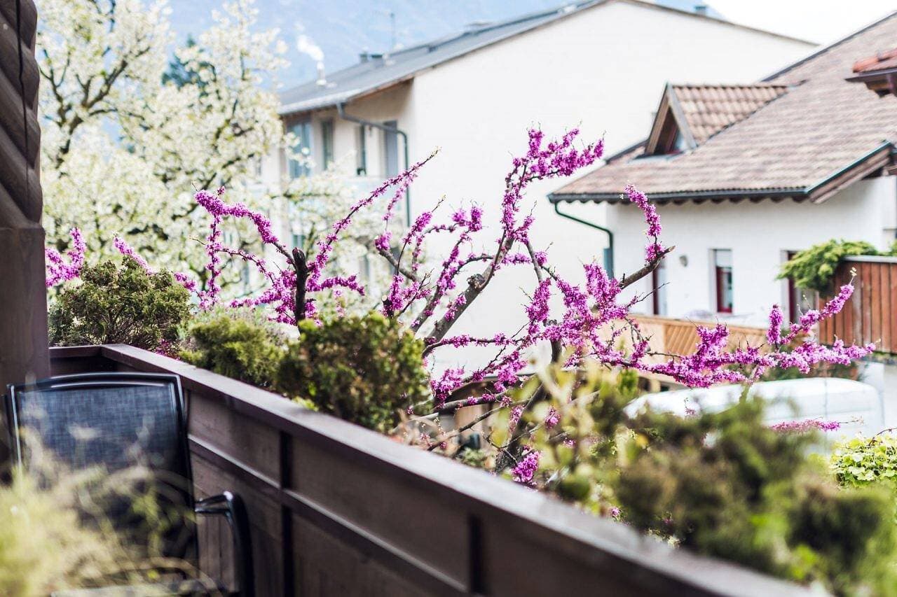 Foto 8 von 12: Einzimmerapartment 'Ferienwohnung Lanz 3' mit Bergblick, Privatem Garten und WLAN
