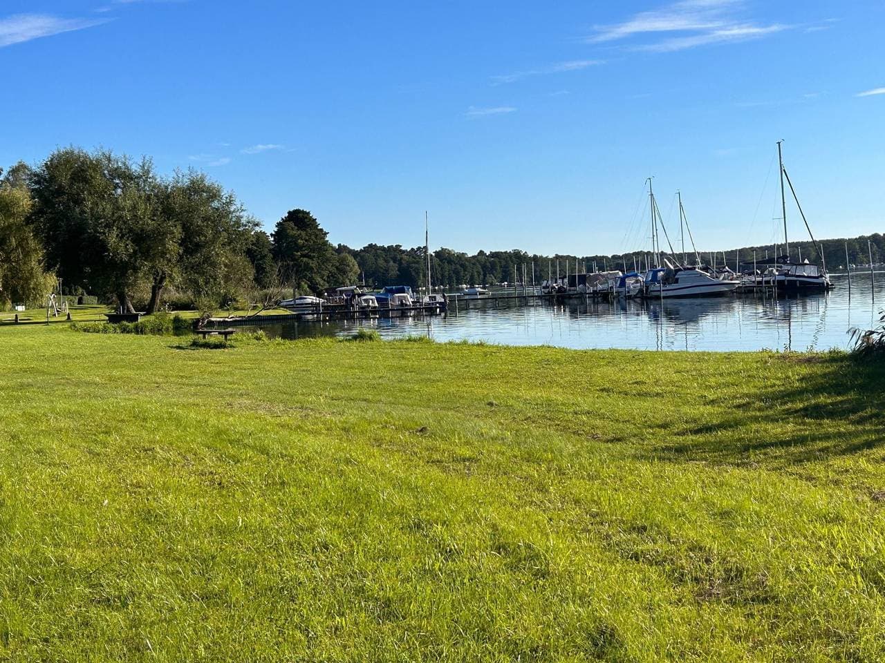 Foto 10 von 19: Am Schwielochsee