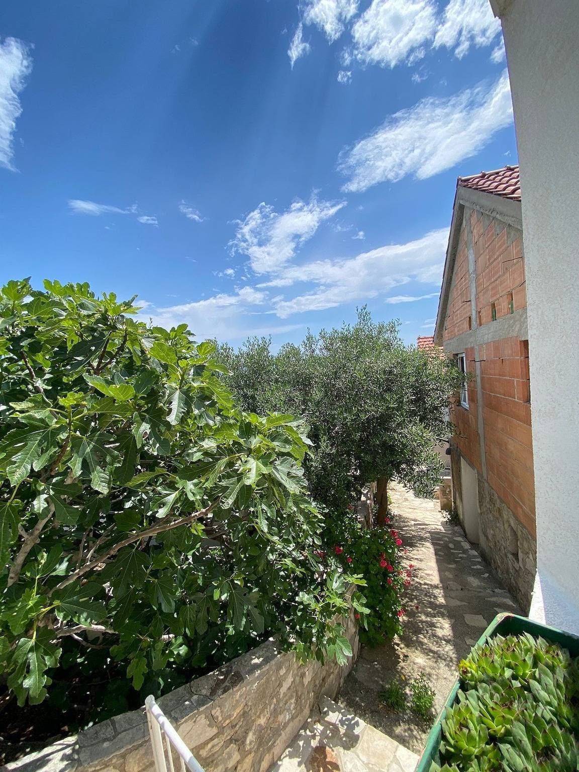 Foto 10 von 10: Studio Appartement am Strand Bucht Tvrdni Dolac, Hvar As-12655-a
