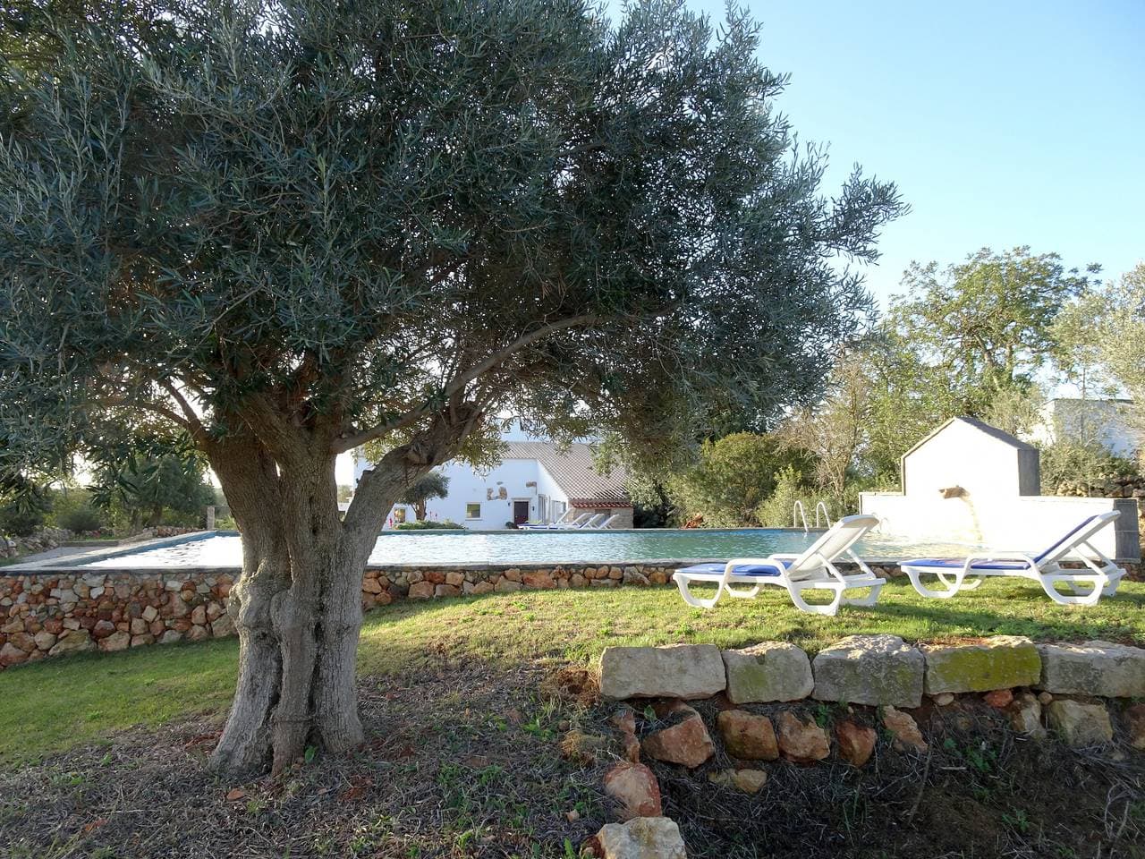 Foto 8 von 49: Gold | Piscina Privada | 18 Pax | Albufeira